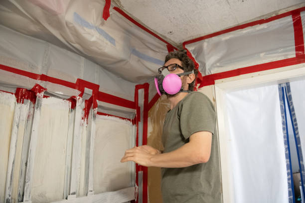 Mold Odor Removal Services in Wright City, MO